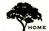 tree logo