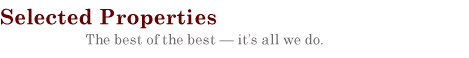 header graphic